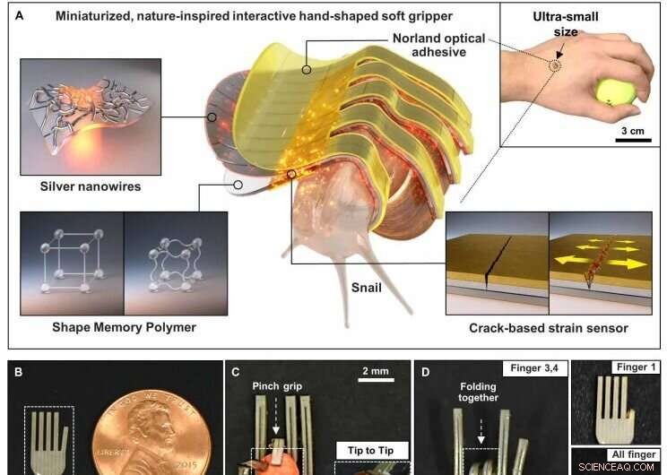 Miniature Soft Gripper Precisely Grasps Snail Eggs for Biosignal Measurement