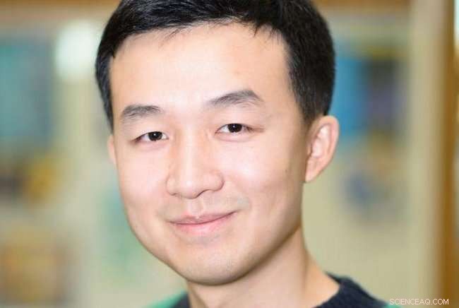 Perovskite Solar Cells: Overcoming Stability for Affordable Renewable Energy