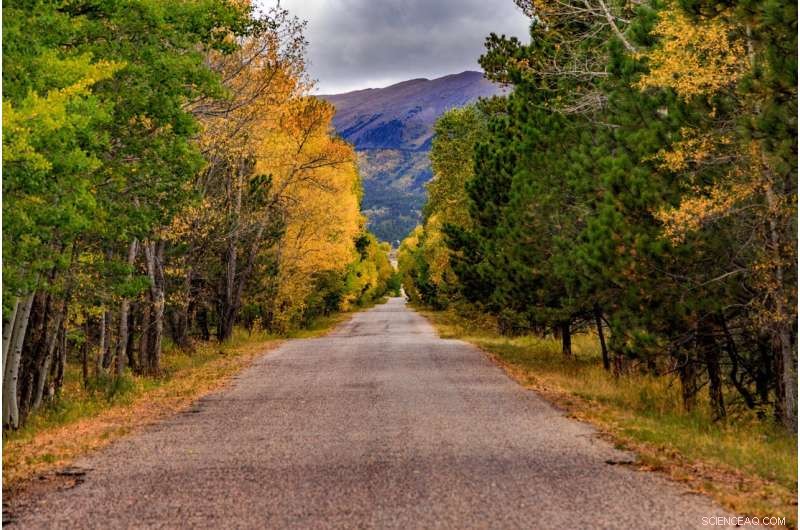 How Rural Electrification Drove America s Electric Car Revolution