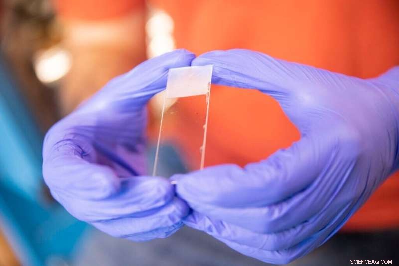 Harvard Chemists  Fluorescent Dye Breakthrough for Centuries-Long Data Storage