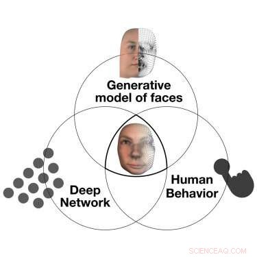 Human-Like AI: Advancing Cognitive Capabilities with 3D Modeling