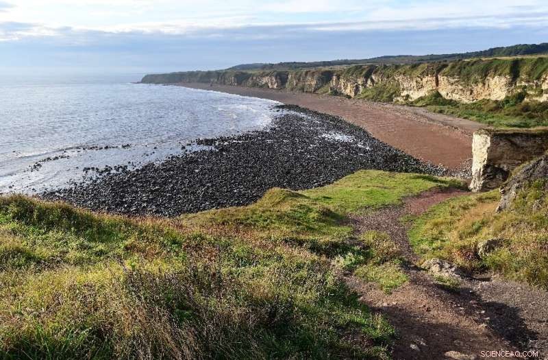 Seaham Coal Mine Transformed: A UK Green Energy Success Story