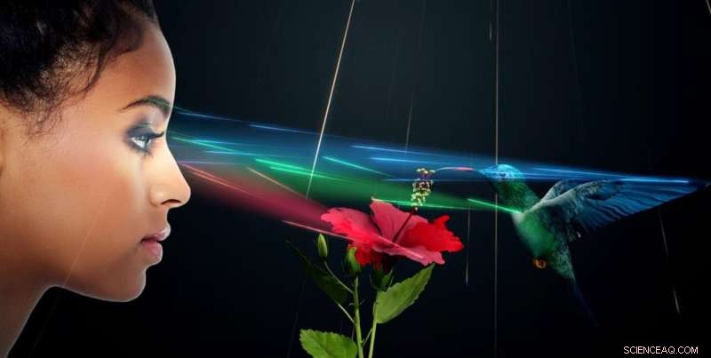 Light Field Lab Launches SolidLight: The Highest-Resolution Holographic Display Platform