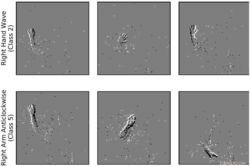 Brain Cell Variability Accelerates Learning in Humans and AI