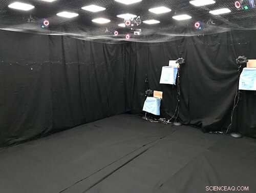 How Bat Flight Research is Advancing Autonomous Vehicle Design