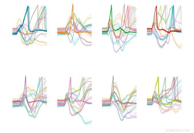Revolutionary Framework Accelerates Deep Learning with First-Spike Timing