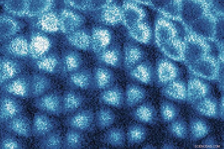 First-Ever Image of Wigner Crystal ( Electron Ice ) Captured by Researchers