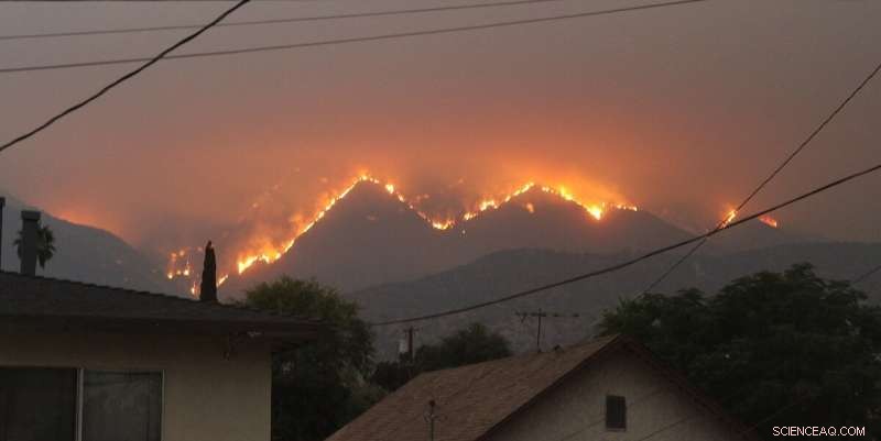 AI-Powered Strategies for Effective California Wildfire Response