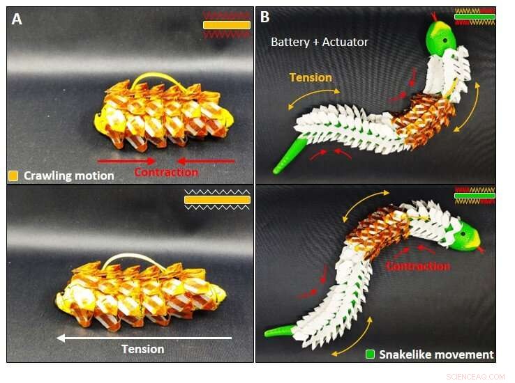 Snake Scale-Inspired Stretchable Battery: High Safety and Flexibility through Biomimetic Design