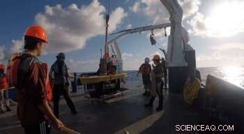 Texas A&M s Autonomous Glider Withstands Two Hurricanes, Monitors Ocean Acidification in Real-Time