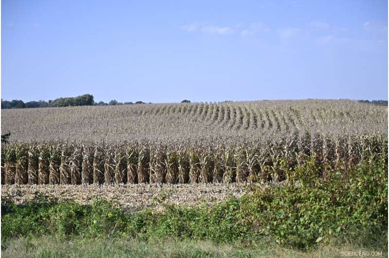 Ford s New Electric Vehicle Factory in Tennessee Advances Green Energy