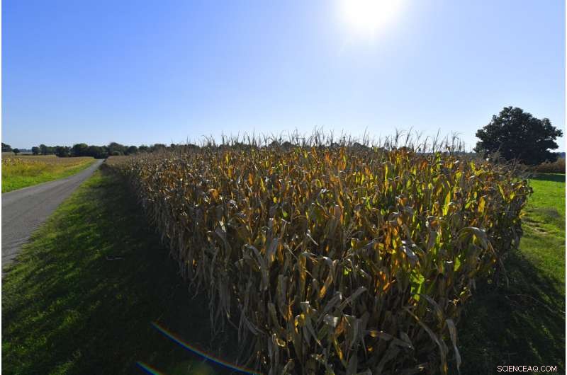 Ford s New Electric Vehicle Factory in Tennessee Advances Green Energy