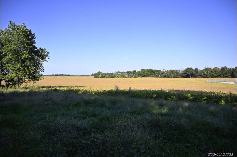 Ford Creates 10,800 Jobs with EV and Battery Plant Expansion in Tennessee and Kentucky