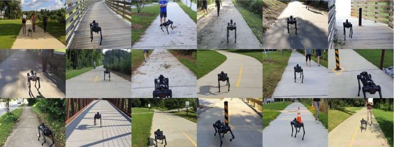 Autonomous Robot Achieves Safe and Efficient Sidewalk Navigation for Urban Delivery and Patrol