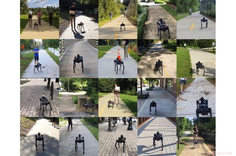 Autonomous Robot Achieves Safe and Efficient Sidewalk Navigation for Urban Delivery and Patrol