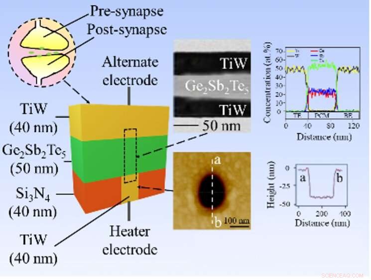 Ultralow-Power Artificial Synapse: Pioneering Energy-Efficient Next-Generation AI