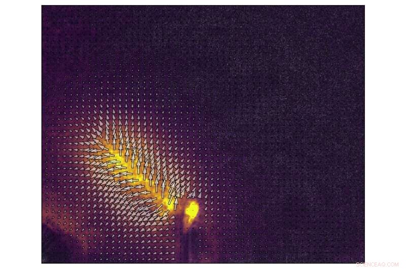 Dynamic Speckle Holography: Novel 3D Displacement Measurement Technique