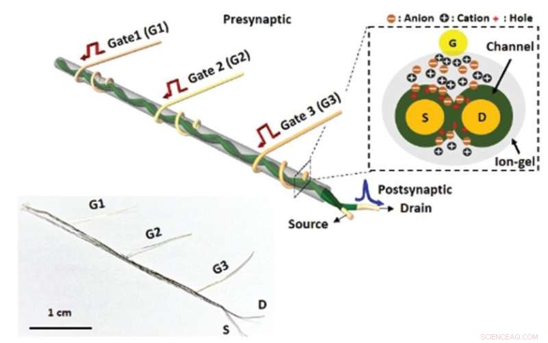 Revolutionary Dendritic Network-Enabled Artificial Neurofiber Transistors for Next-Gen AI Computing