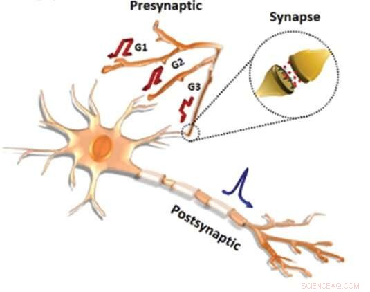 Revolutionary Dendritic Network-Enabled Artificial Neurofiber Transistors for Next-Gen AI Computing