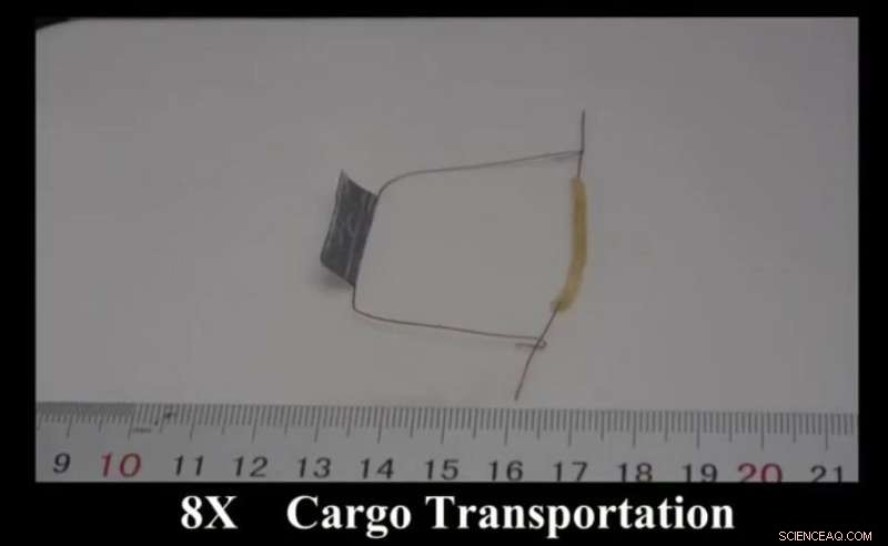 4D-Printed Soft Robots: Self-Assembling Tube Bots That Navigate Rough Terrain