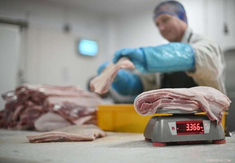 UK Energy Crisis: Fertiliser and CO2 Shortages Threaten Farms and Supply Chains