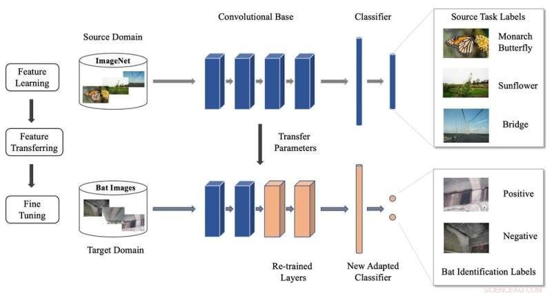 AI System Detects Bats Under Bridges with 90%+ Accuracy for Highway Departments