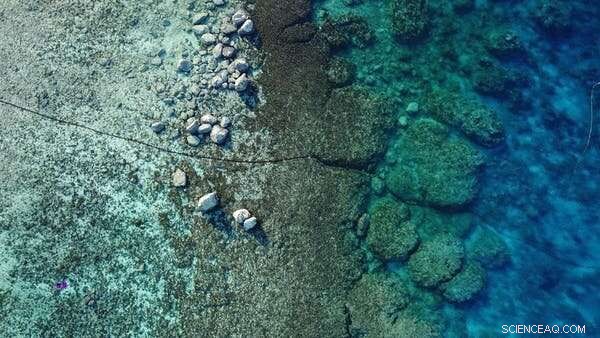 Submarine Cables Connect Pacific Islands to Global Internet Amid Geopolitical Risks