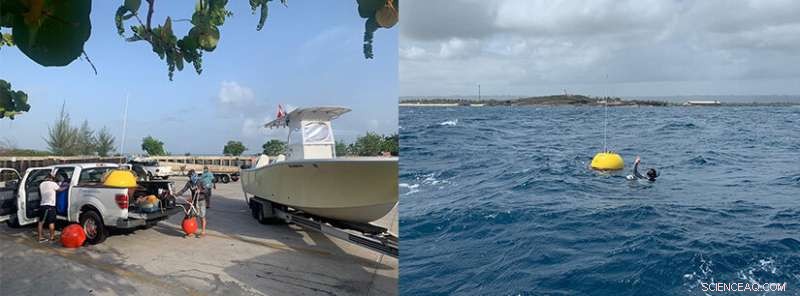 Ocean Wave Energy Research: Waverider Buoy Data Collection in North Carolina