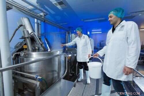 Steam Infusion Breakthrough Cuts Energy Use by 17% for Food Manufacturers