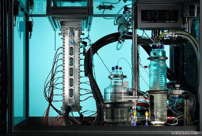 Decoding Electrolyzers: Critical for Green Hydrogen and Energy Transition