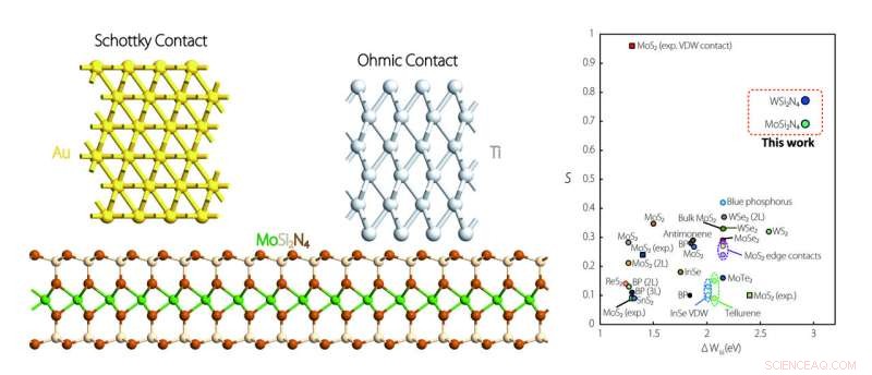 Energy-Efficient 2D Semiconductor Devices: Schottky vs. Ohmic Contacts