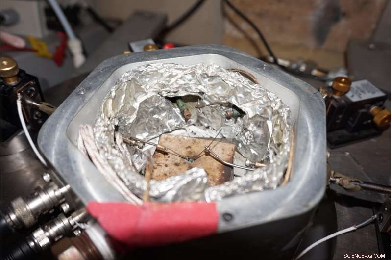 Sea Slug-Inspired Quantum Materials Advance AI Hardware Efficiency