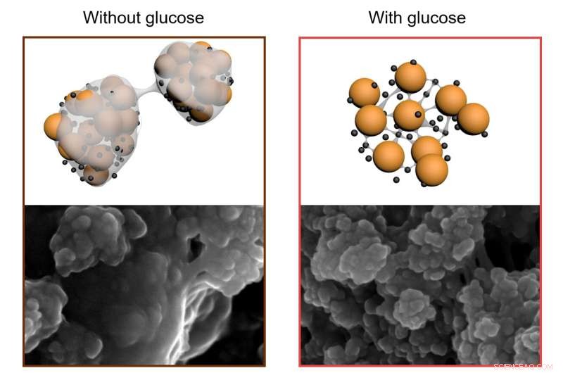 Sugar-Based Electrode Innovation Extends Lithium-Sulfur Battery Lifespan