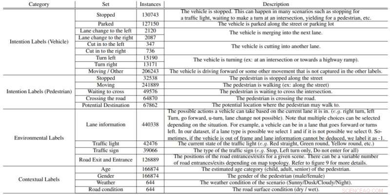 LOKI: The Intention Dataset for Enhanced Pedestrian and Vehicle Trajectory Prediction