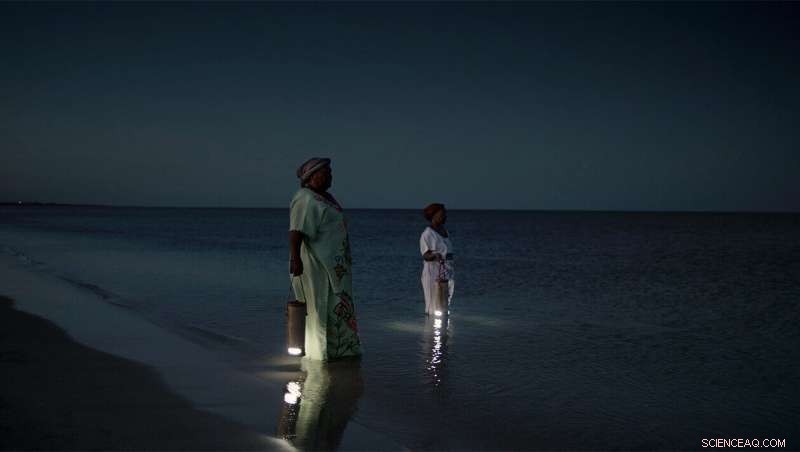 Waterlight Lamp: Sustainable Saltwater-Powered Light for 45 Days