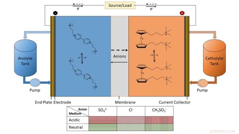 Breakthrough ORFB Efficiency: BTMAP-Fc Catholyte and BTMAP-Vi Anolyte Schematic