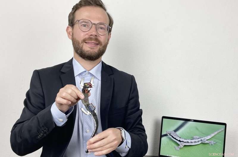 Gecko-Inspired Soft Robot Proves Fifth Leg Advantage for Enhanced Perching