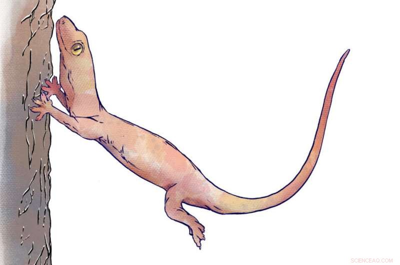 Gecko-Inspired Soft Robot Proves Fifth Leg Advantage for Enhanced Perching