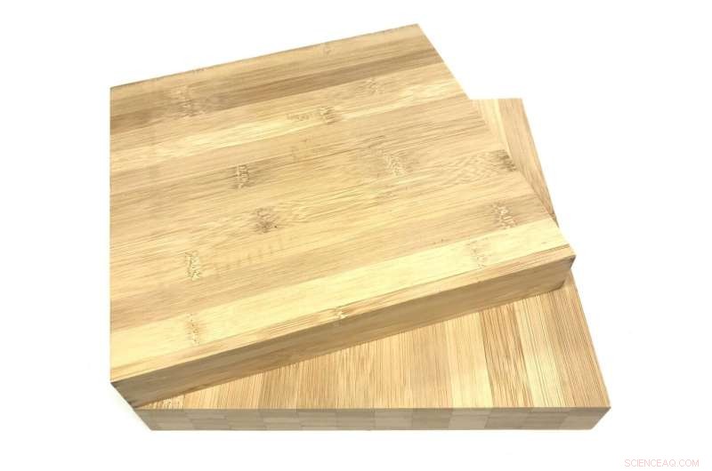 Simulating Bamboo s Moisture Response to Prevent Mold in Building Materials