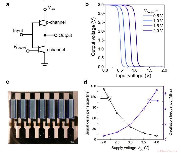 Innovative Vertical Organic Permeable Dual-Base Transistors Advance Logic Circuit Technology