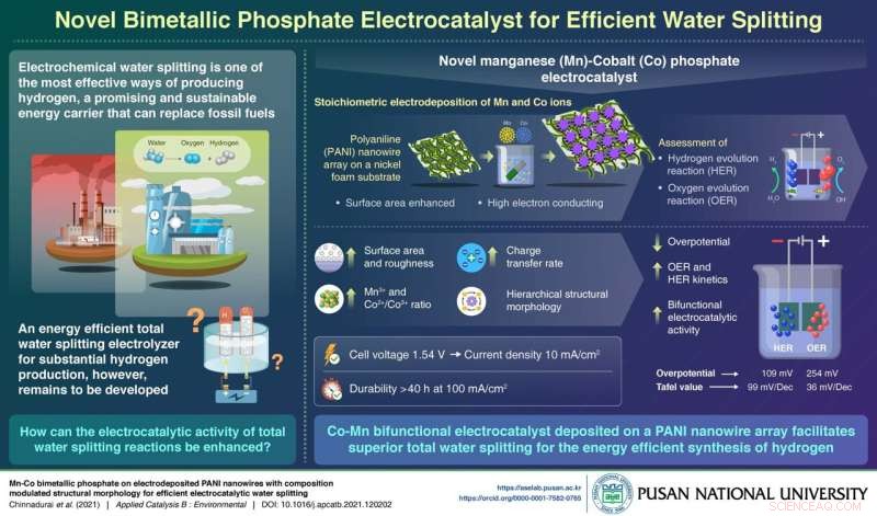 Breakthrough in Green Hydrogen: Mn-Co Bimetallic Phosphate Catalyst on PANI Nanowires for Efficient Water Splitting