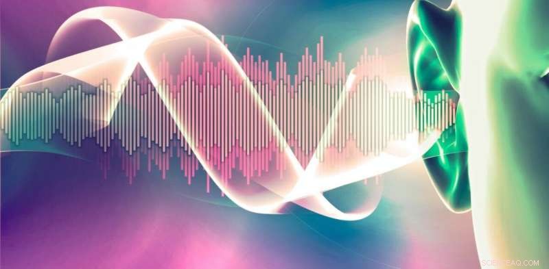 AI Hearables: Smart Earwear for Learning Languages and Music