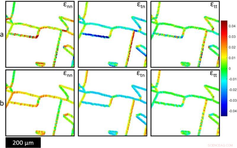 Advanced Machine Learning Model Accurately Predicts Stainless Steel Microstructural Behavior
