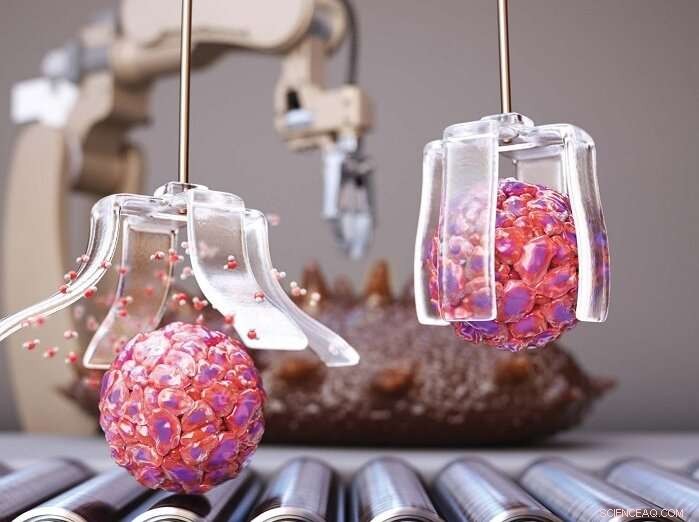 Programmable, Ultra-Fast Water-Driven Soft Actuator Inspired by Sea Cucumber Biology