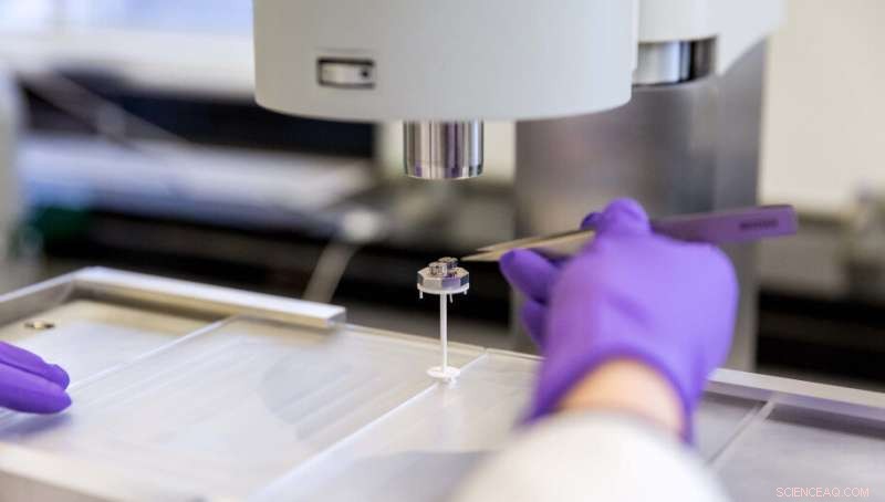 How Small Modular Reactors Mitigate Climate Change