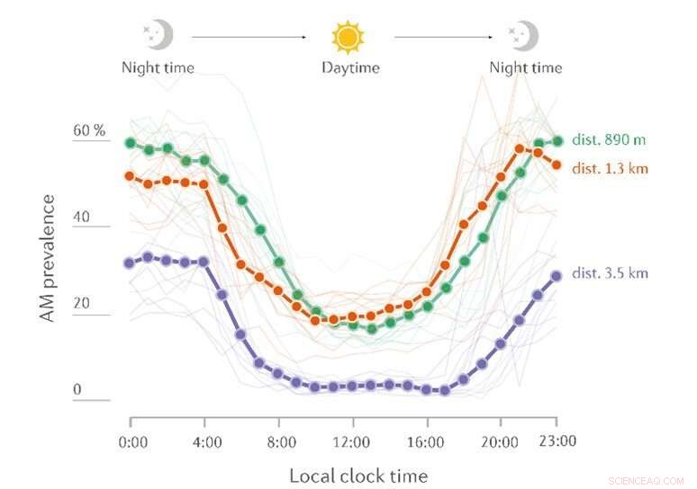Flinders University Research: Diurnal and Seasonal Patterns in Wind Turbine Night Noise