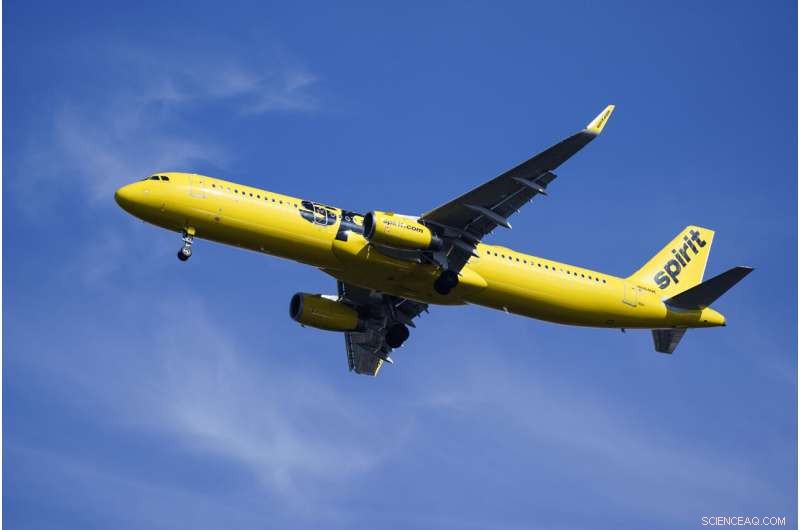 Spirit Airlines Reports $50 Million Revenue Loss from Summer Flight Cancellations, Bookings Impacted