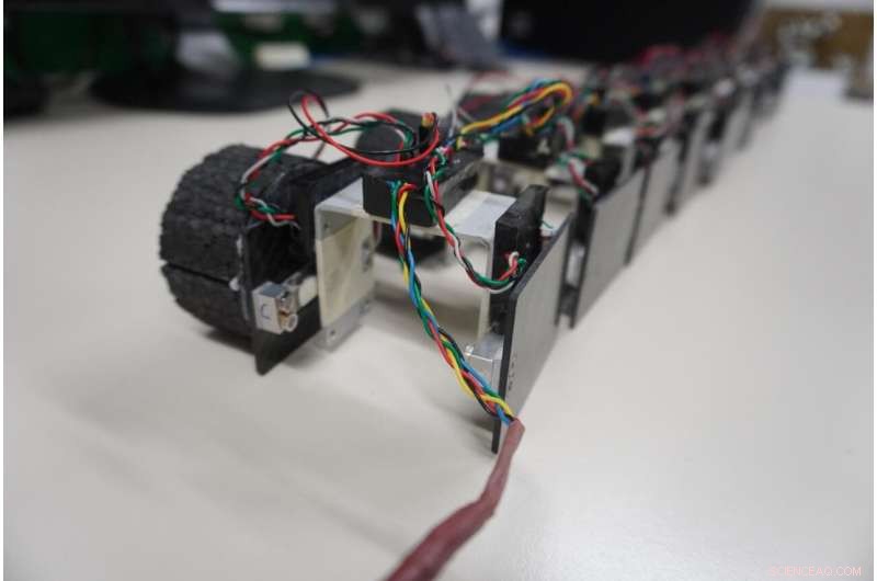 Lamprey-Inspired Robot Reveals How Vertebrates Retain Locomotion After Spinal Cord Injury