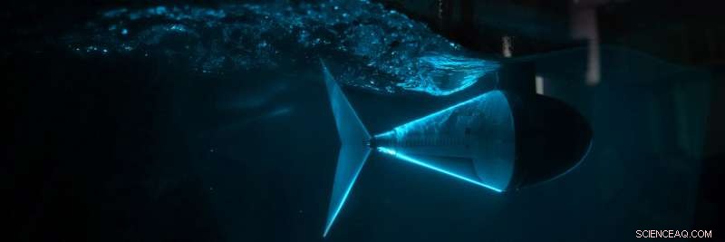 Next-Generation Underwater Drones: How a Robotic Fish Tail and Elegant Math Ratio Drive Innovation