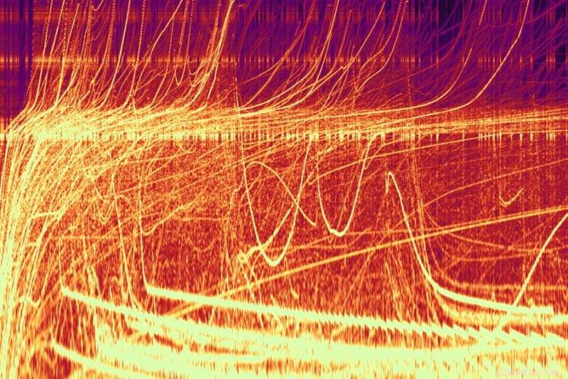 Decade-Long Interdisciplinary Study Models 3D Spider Web, Revealing Surprising Acoustic and Structural Insights